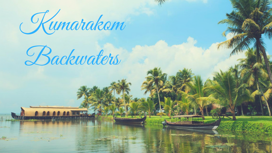 Kumarakom Backwaters Kerala