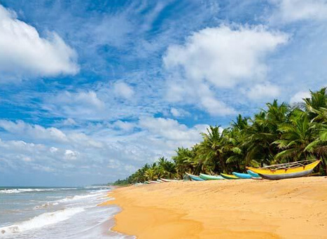Kumarakom Beach Kerala